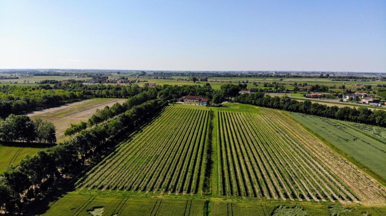 Agriturismo Ae Cavane Codevigo エクステリア 写真