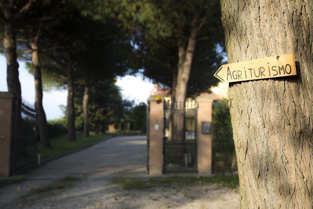 Agriturismo Ae Cavane Codevigo エクステリア 写真